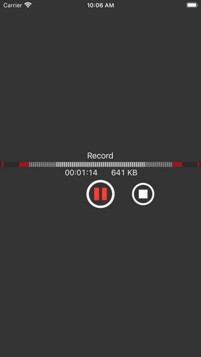 تصاویر You Record Pro